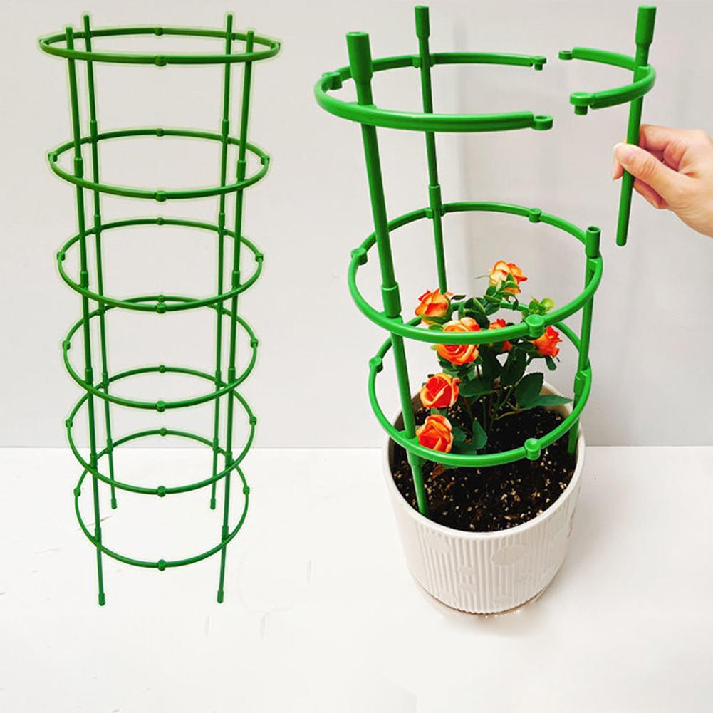 Florist Supp - Suporte para Tomateiros e Plantas Trepadeiras,