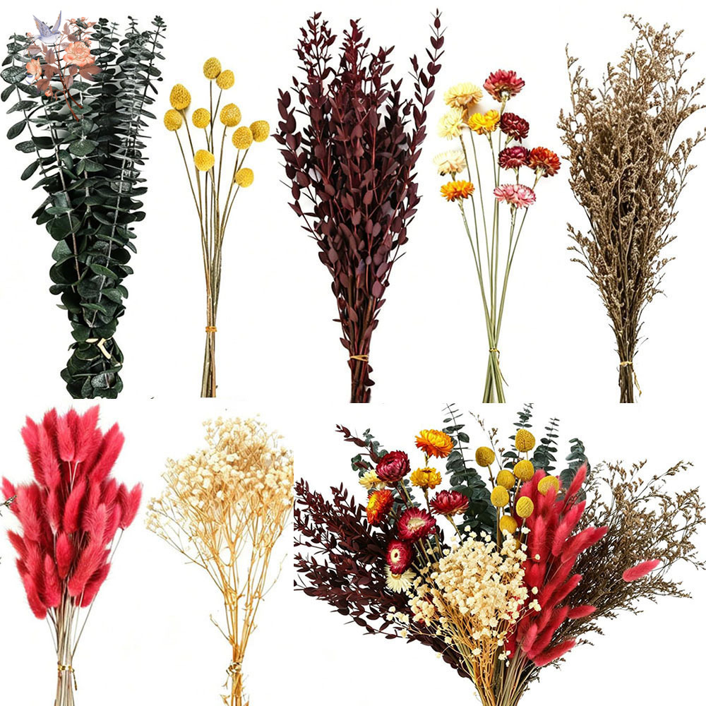 The Florist Supply - Conjunto de Flores Secas a Granel,