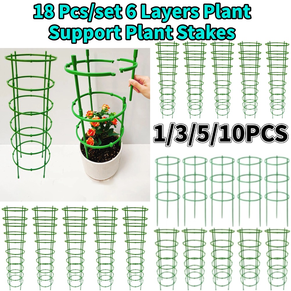 Florist Supp - 10 unidades de suportes para tomates,