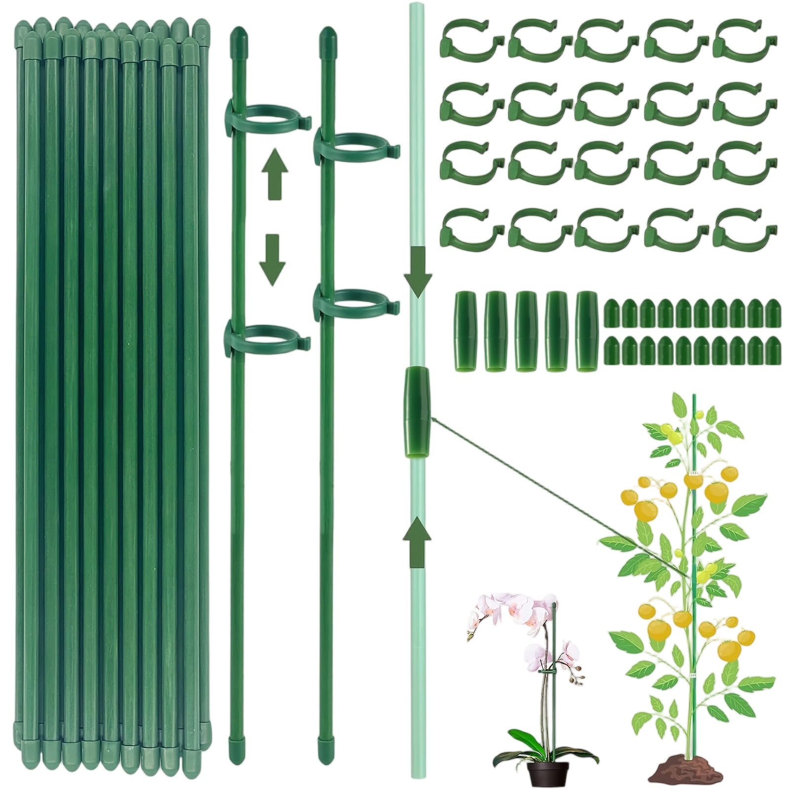 Florist Supp - Estacas de Suporte para Plantas, Suporte
