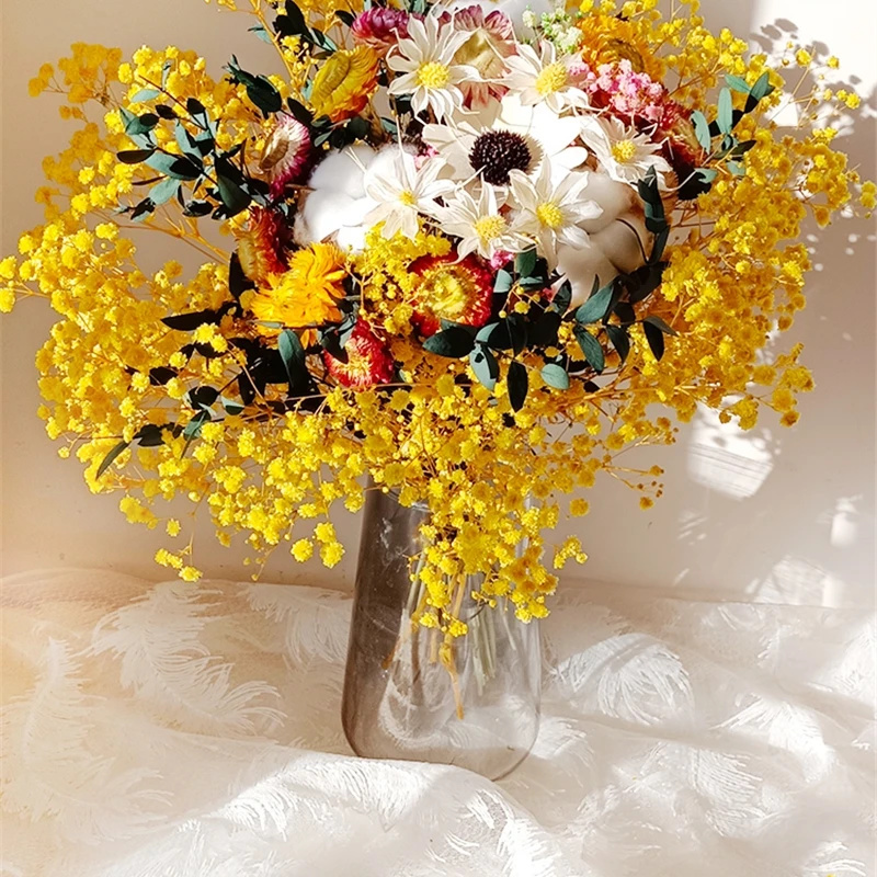 Baby Breath Dried - Flor seca natural gypsophila fresco preservado
