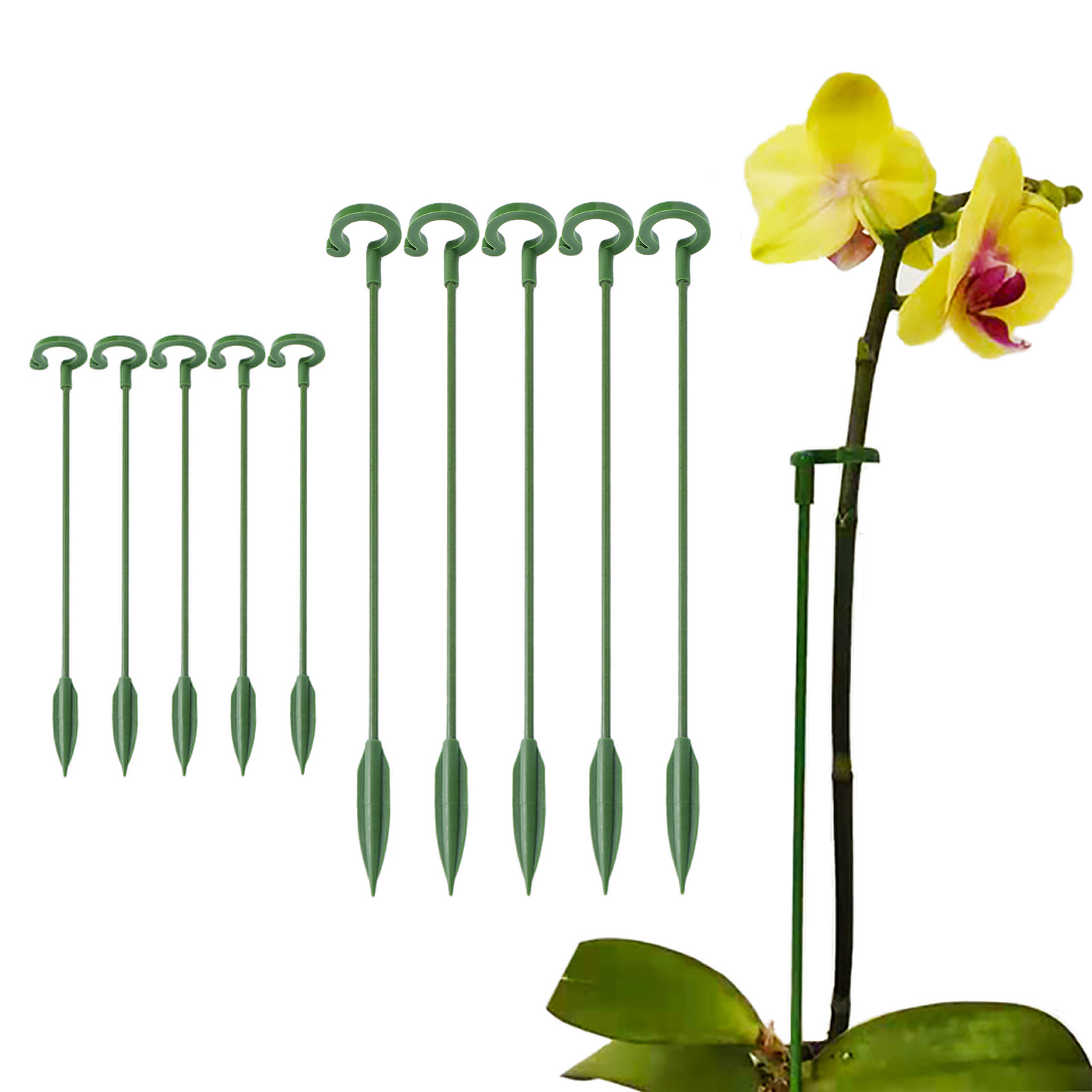 Florist Supp - 5 Peças Estacas de Suporte para