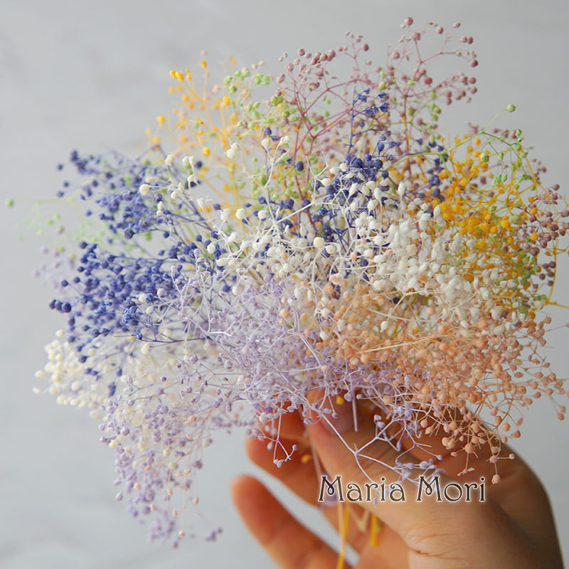 Baby Breath Dried - 5g/mini respiração do bebê flores preservadas