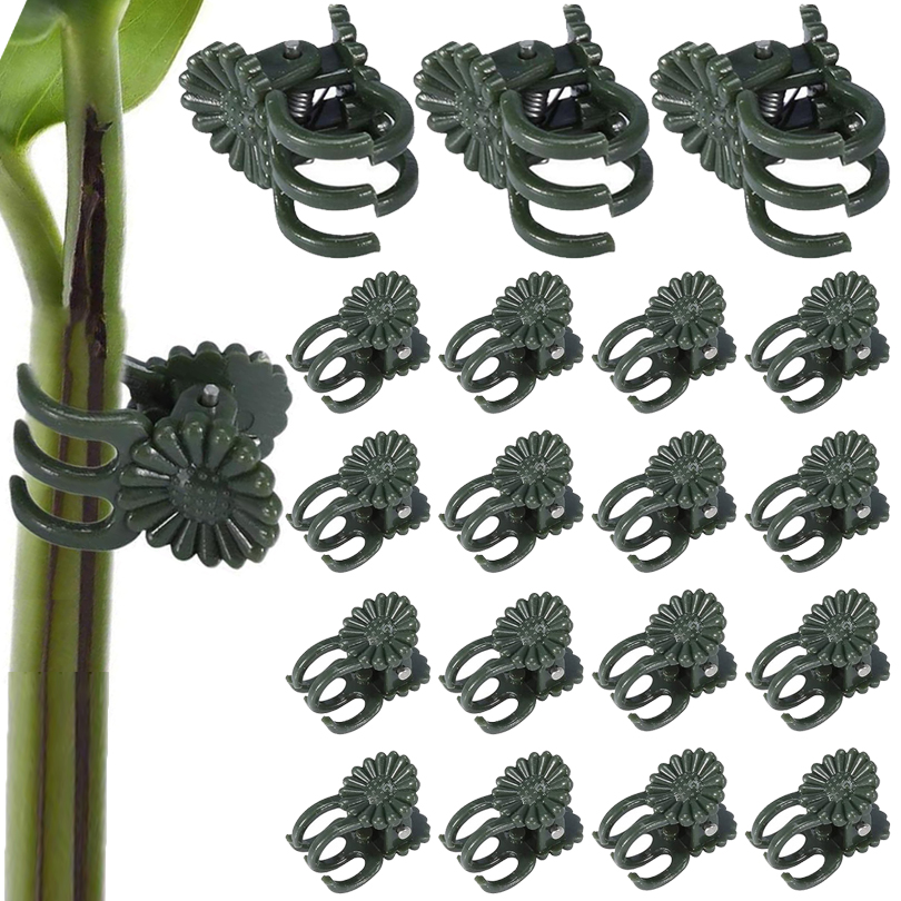 Florist Supp - Plant Clips para Enxerto, Vine Clamp,