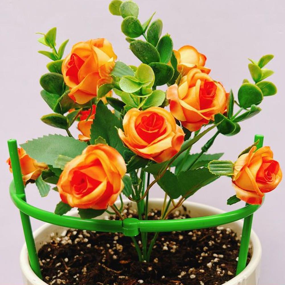 Suporte para Tomateiros e Plan - Florist Supp avaliação e preço