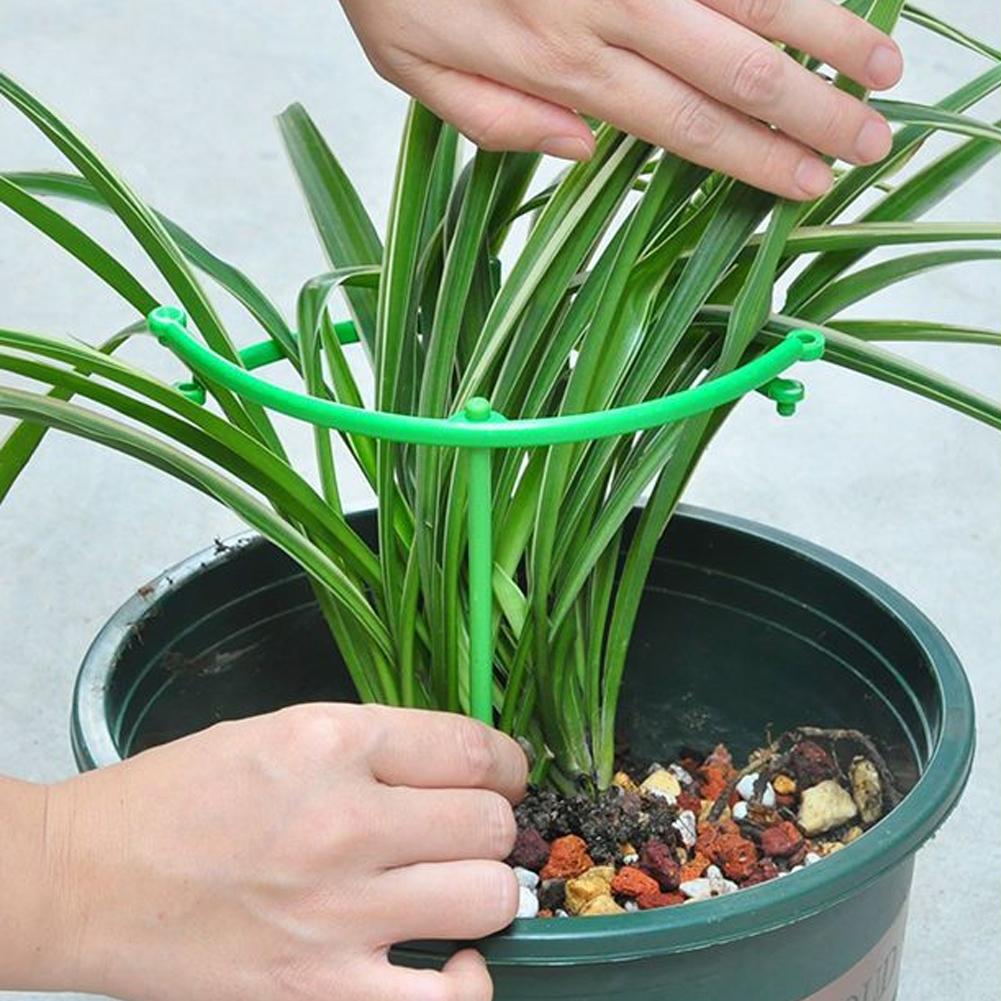 Suporte para Tomateiros e Plan - Florist Supp avaliação e preço