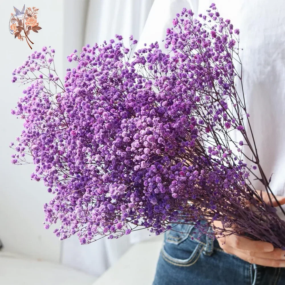 Real touch roxo gesso 80g flor - Baby Breath Dried avaliação e preço