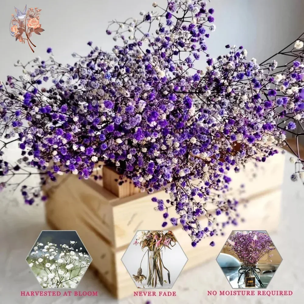 Real touch roxo gesso 80g flor - Baby Breath Dried avaliação e preço