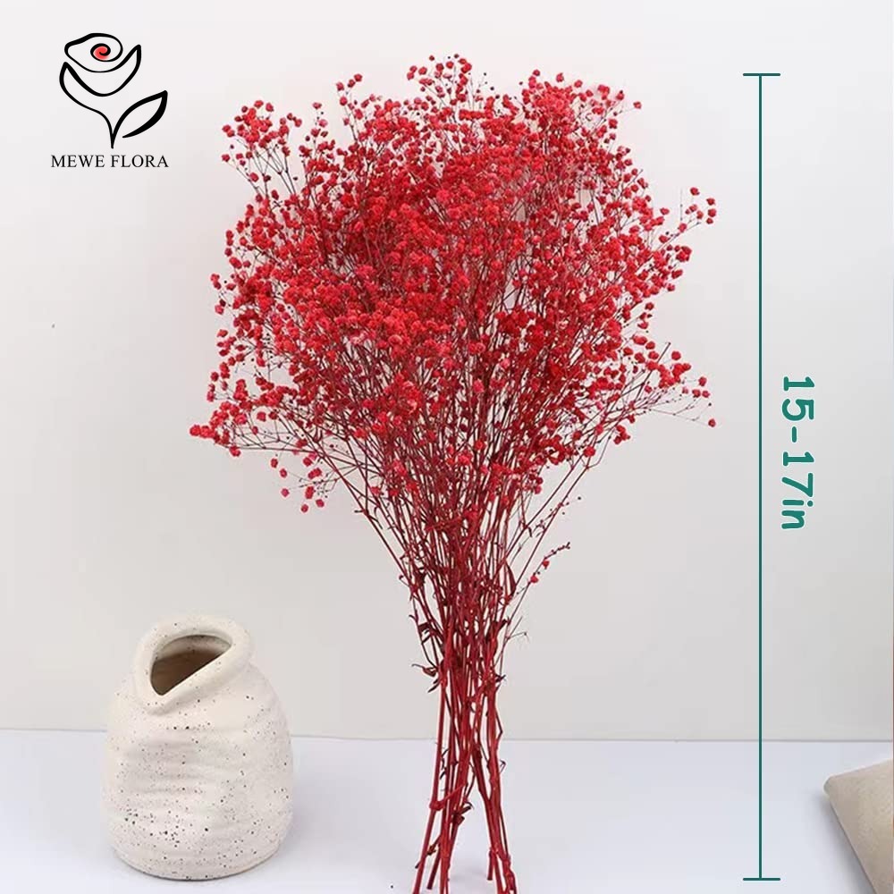Buquê de flores secas para beb - Baby Breath Dried avaliação e preço