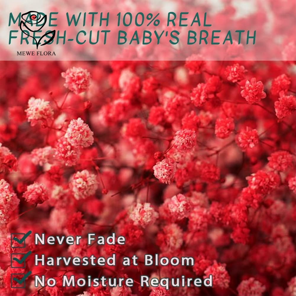 Buquê de flores secas para beb - Baby Breath Dried avaliação e preço