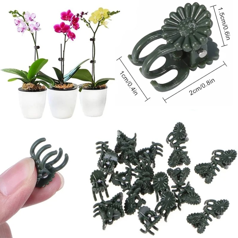 50 Peças de Clipes para Planta - Florist Supp avaliação e preço