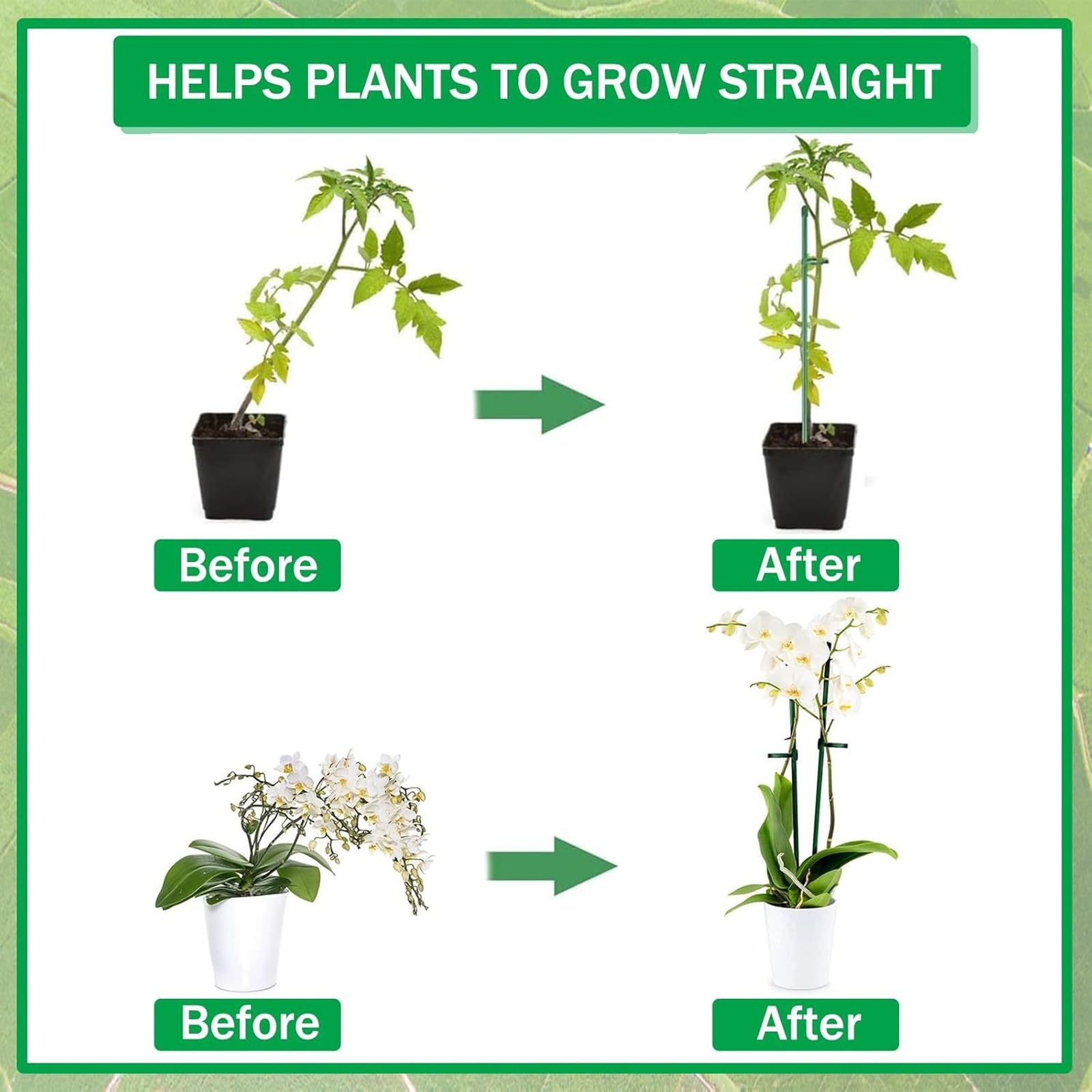 Estacas de Suporte para Planta - Florist Supp avaliação e preço
