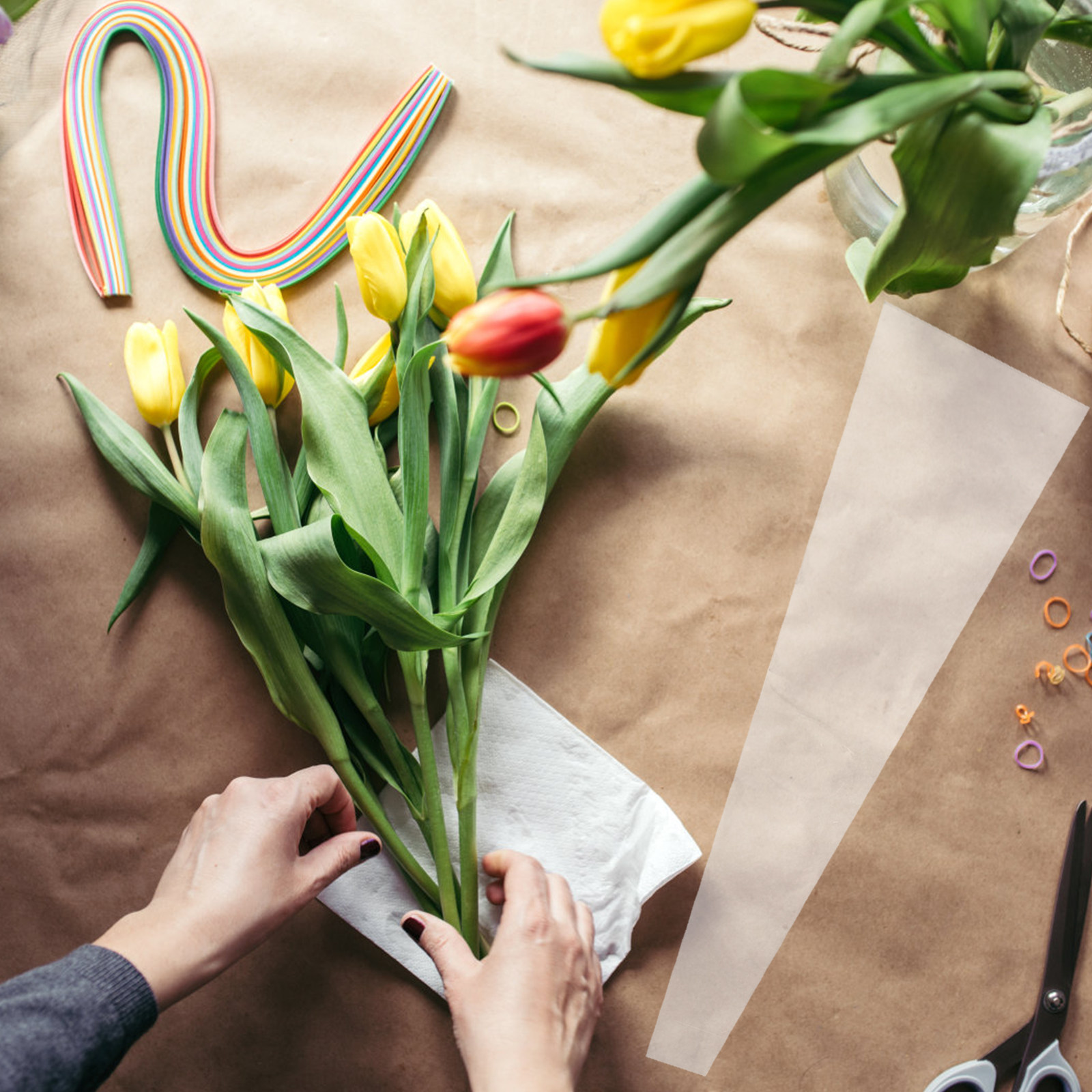 50 unidades de sacos de celofa - The Florist Supply avaliação e preço
