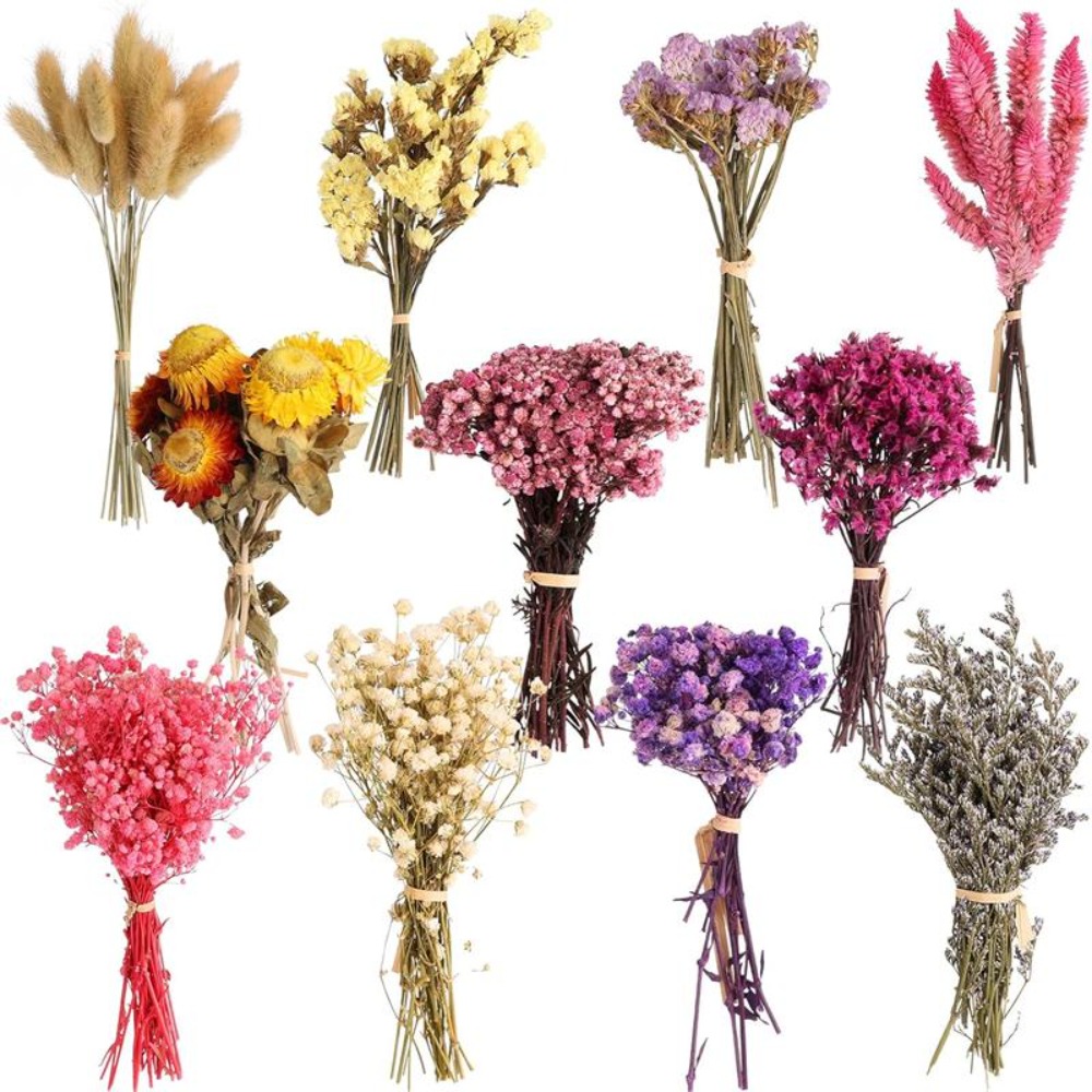 Kit DIY de Mini Buquê de Flore - Baby Breath Dried avaliação e preço