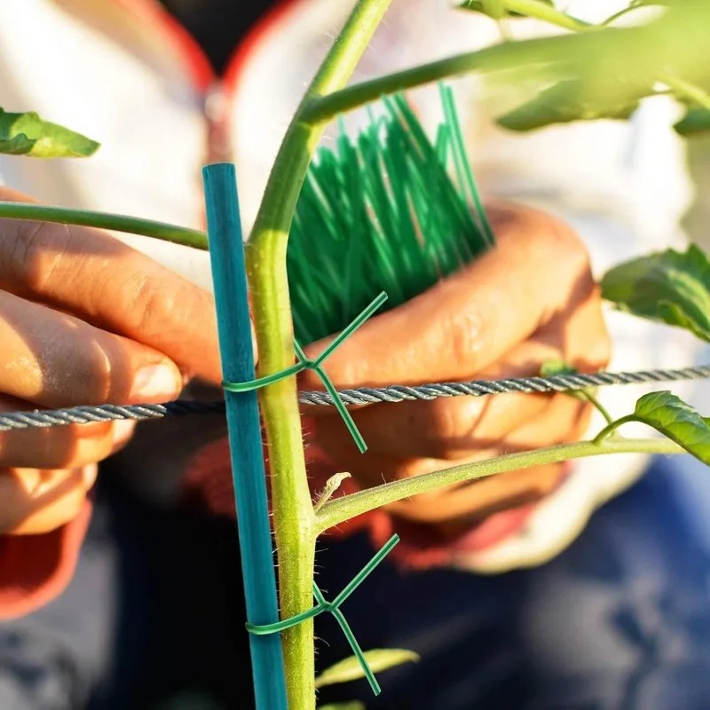 Estacas de Suporte para Planta - Florist Supp avaliação e preço