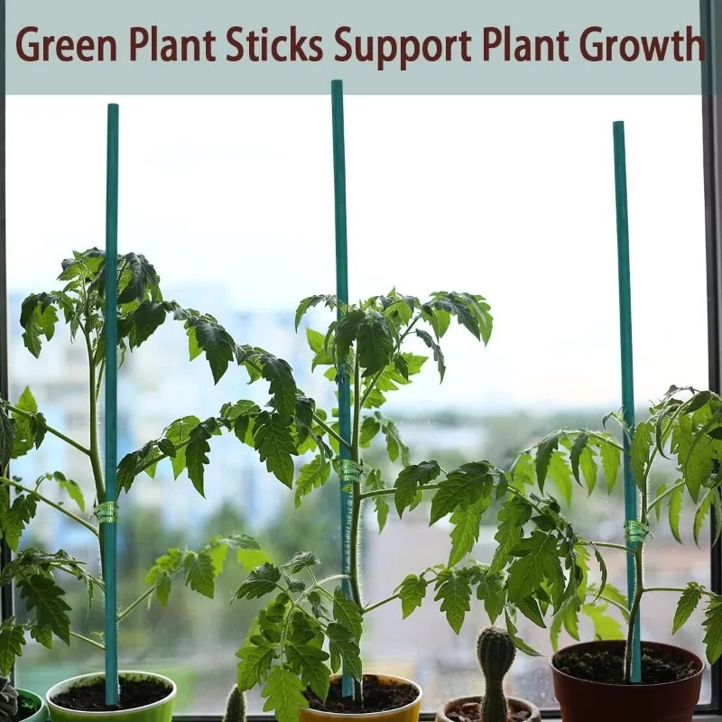 Estacas de Suporte para Planta - Florist Supp avaliação e preço
