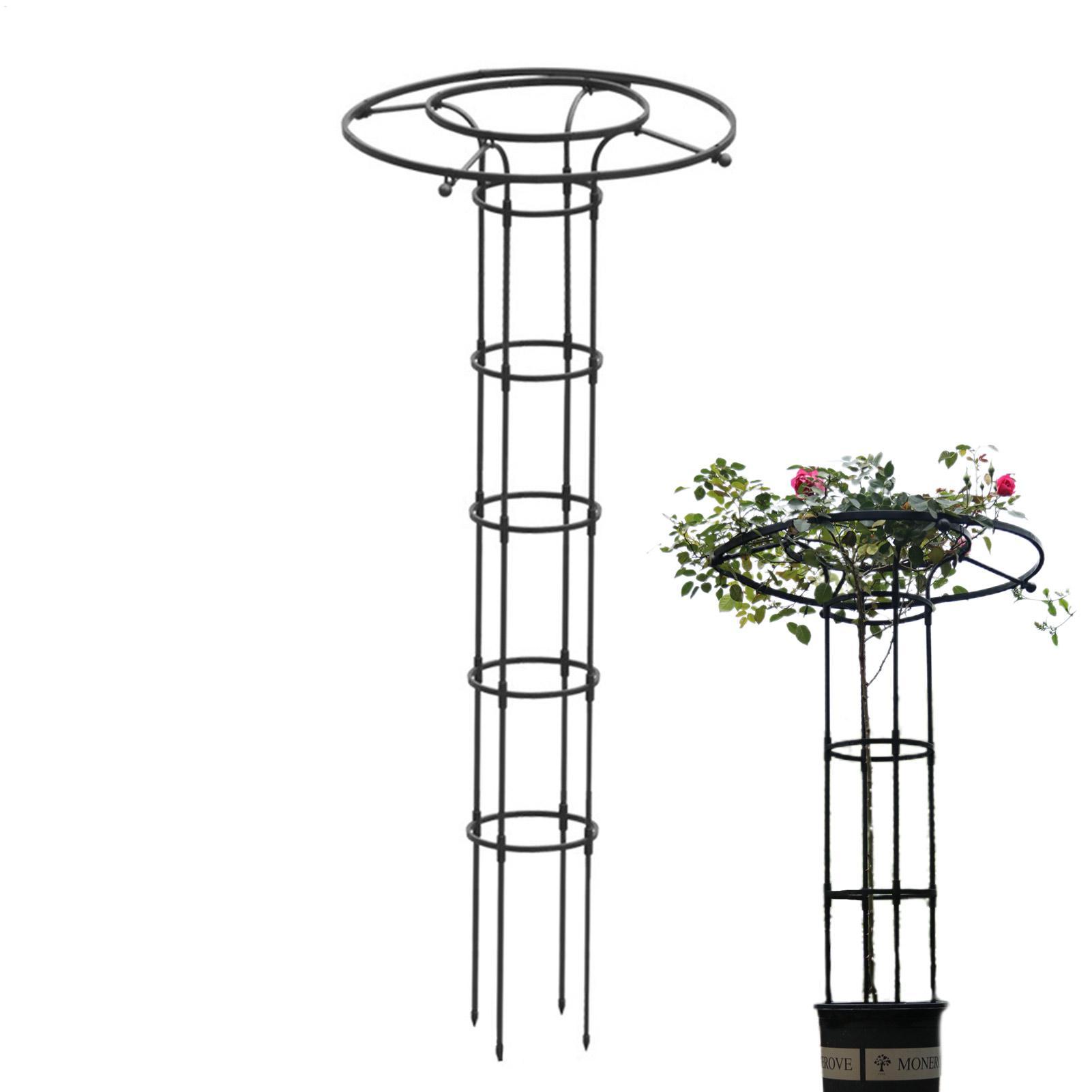 Treliça de Jardim em Formato d - Florist Supp avaliação e preço