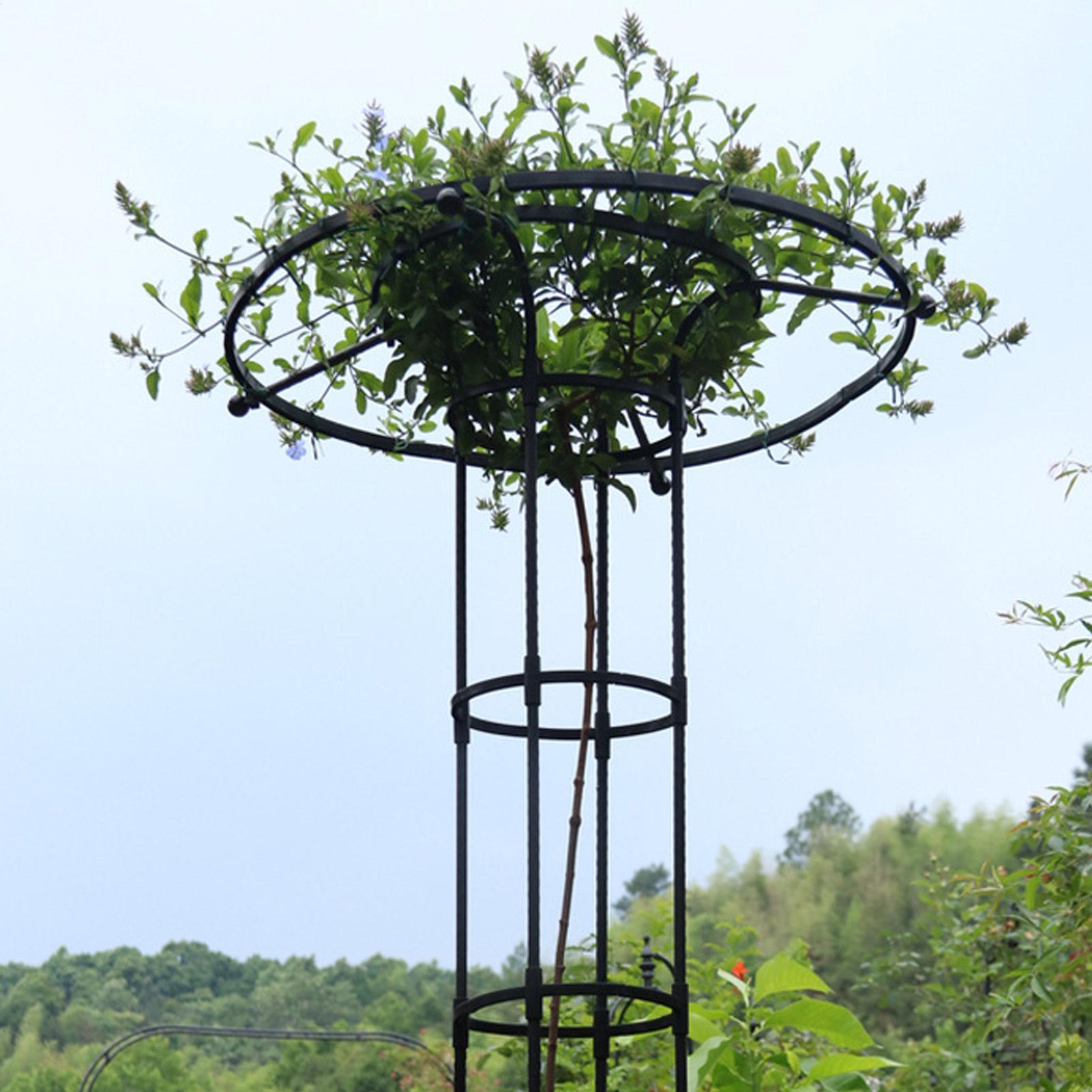 Treliça de Jardim em Formato d - Florist Supp avaliação e preço