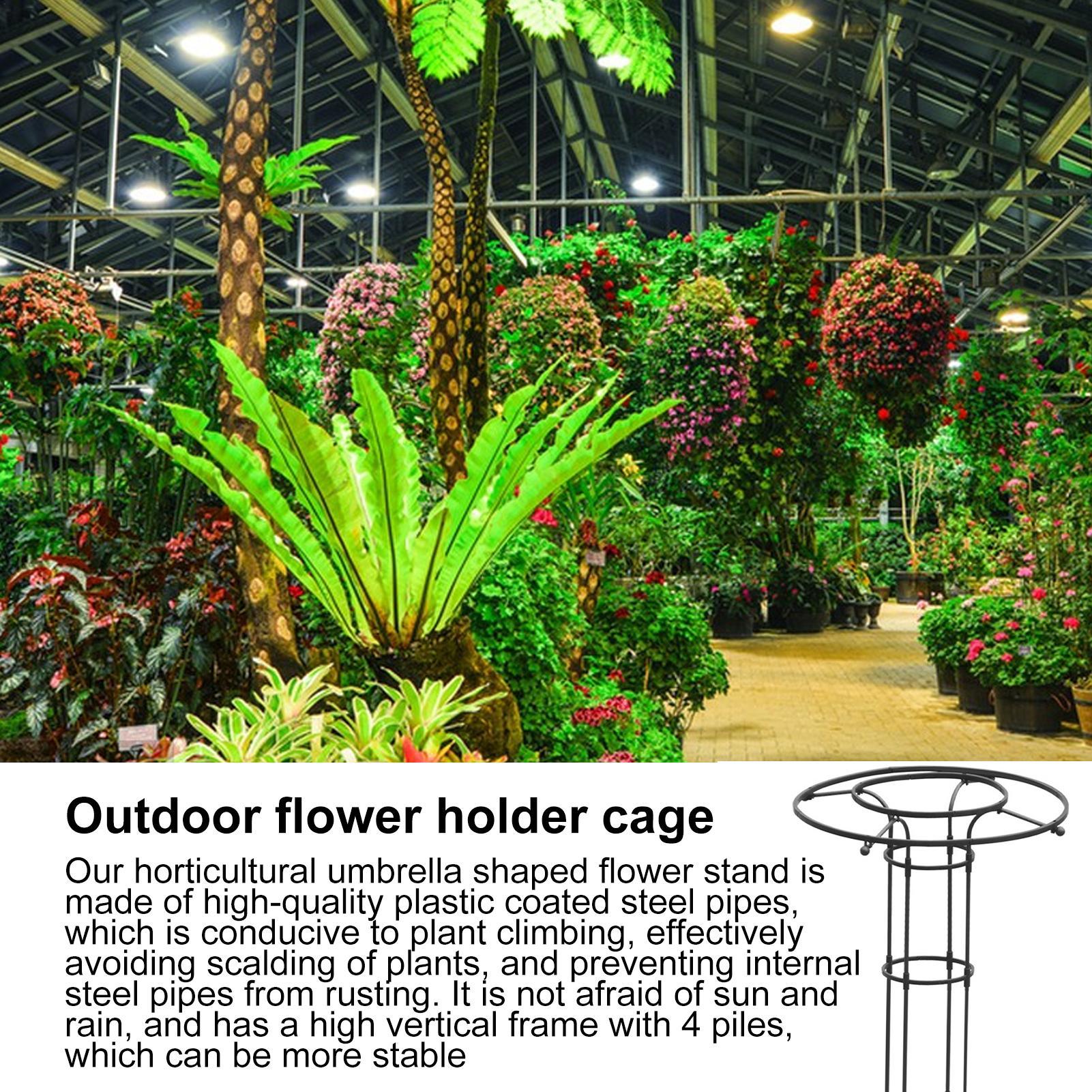 Treliça de Jardim em Formato d - Florist Supp avaliação e preço