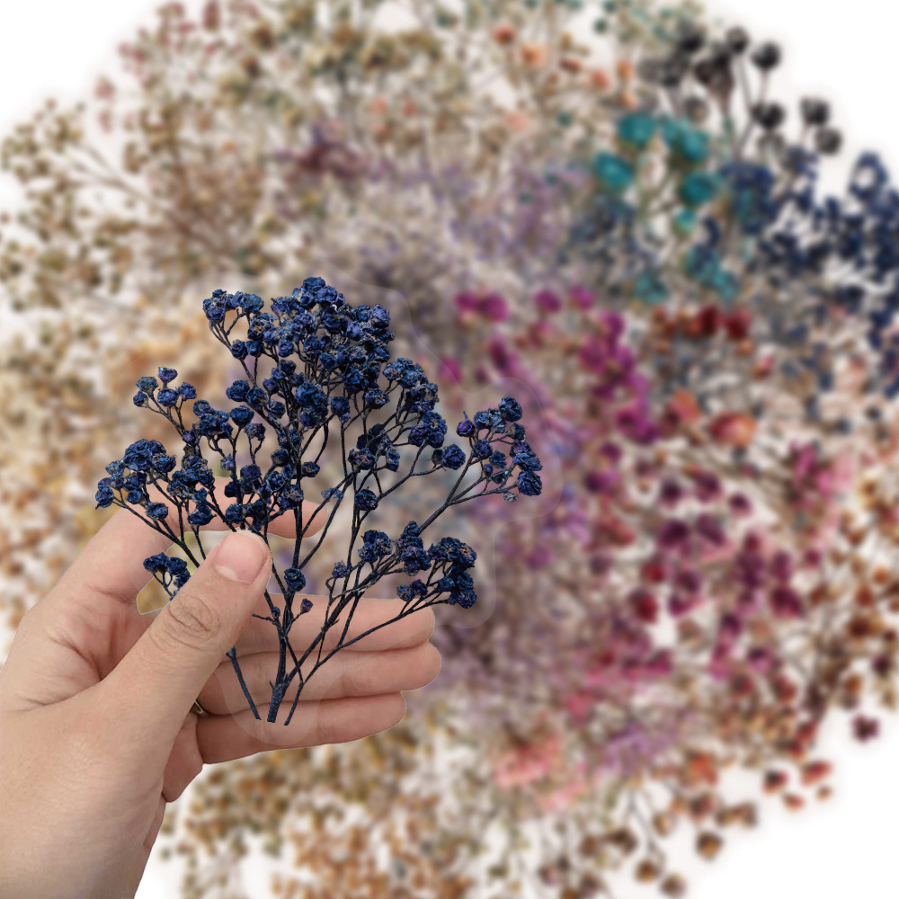 50 Adesivos Decorativos Vintag - Baby Breath Dried avaliação e preço