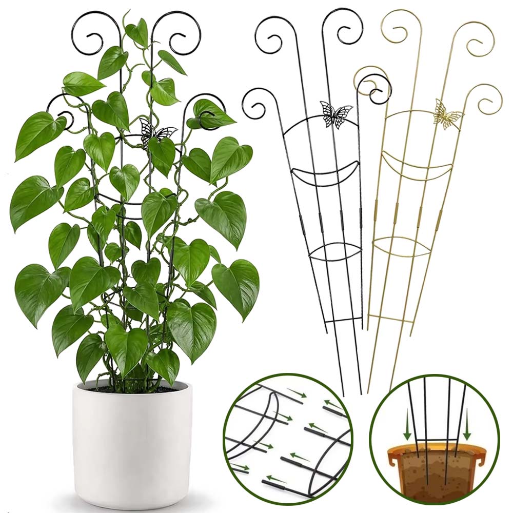 Treliça para Plantas Trepadeir - Florist Supp avaliação e preço