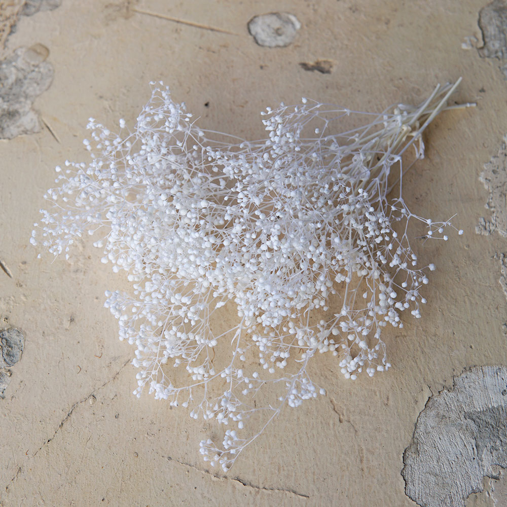 5g/mini respiração do bebê flo - Baby Breath Dried avaliação e preço