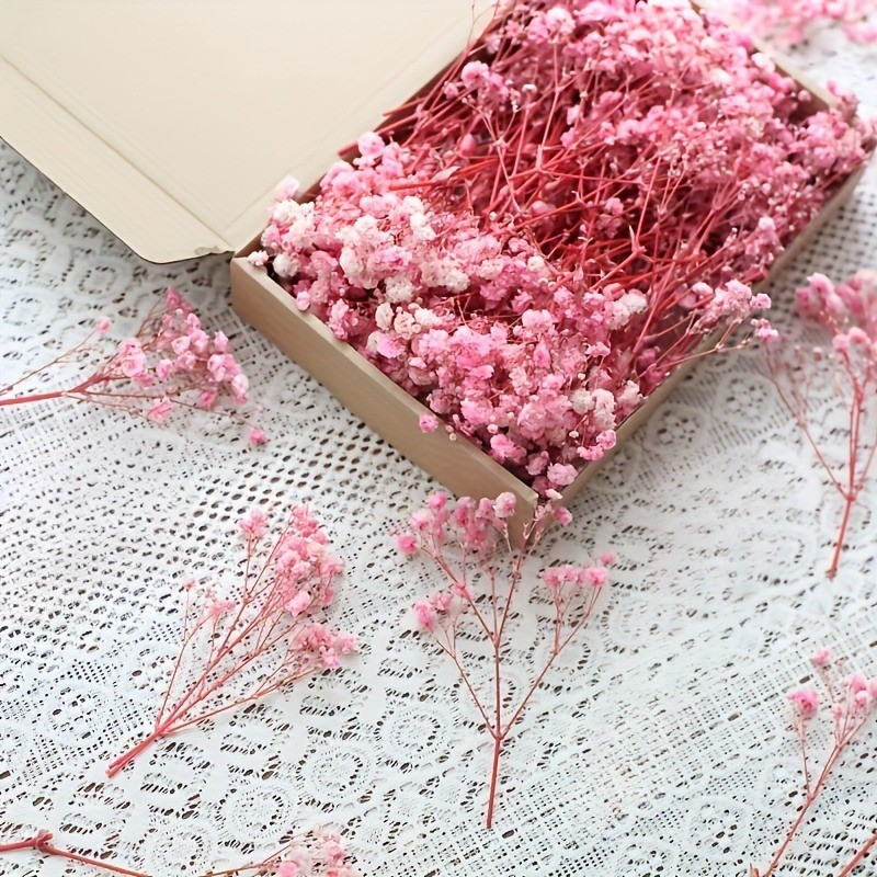 50 ou 100 unidades de Gypsophi - Baby Breath Dried avaliação e preço