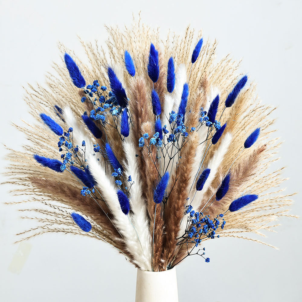 70 pçs azul pampas flores seca - Baby Breath Dried avaliação e preço
