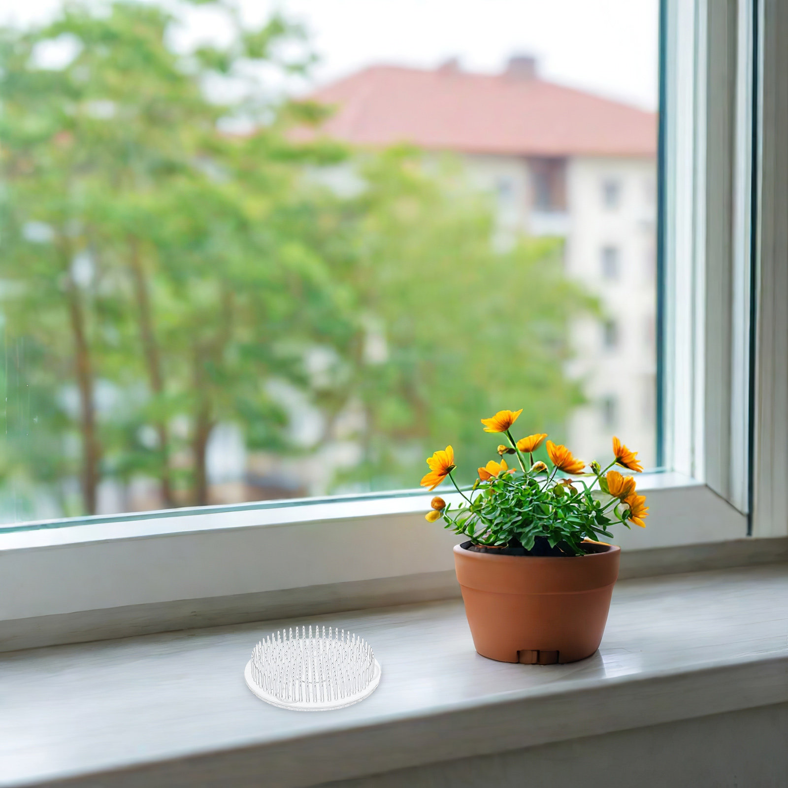 6 Peças Suporte de Fixação de  - Flower Frog Pin avaliação e preço